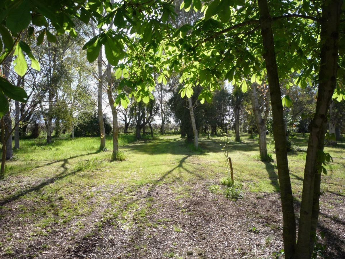 Agriturismo La Giannottola Aprilia Ngoại thất bức ảnh