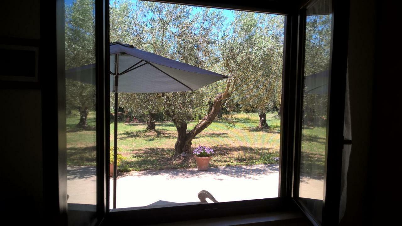 Agriturismo La Giannottola Aprilia Ngoại thất bức ảnh