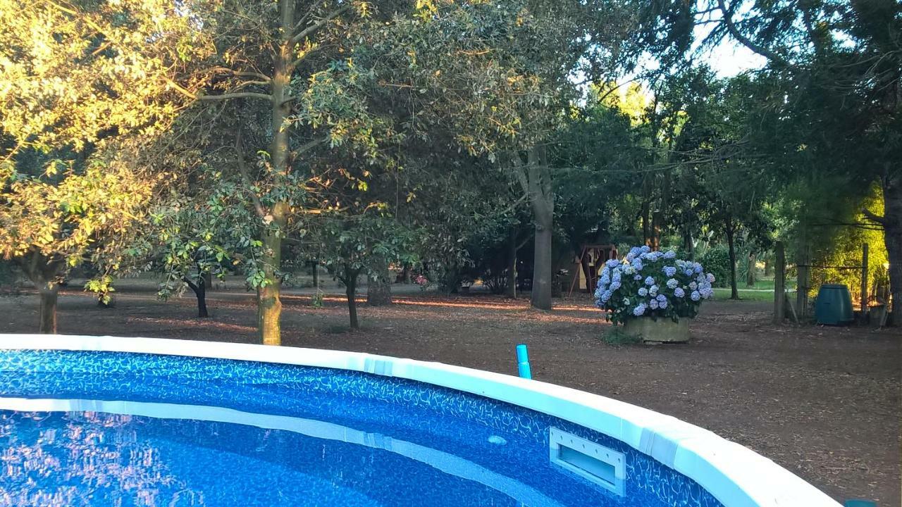 Agriturismo La Giannottola Aprilia Ngoại thất bức ảnh